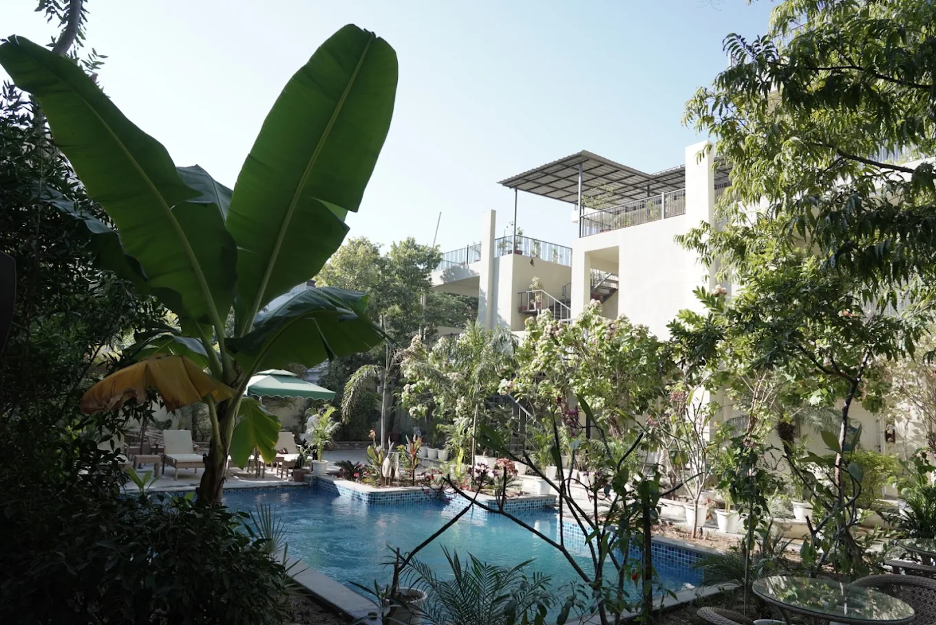 Poolside garden by day